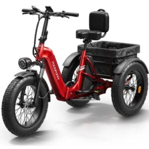 Elektrisches Dreirad